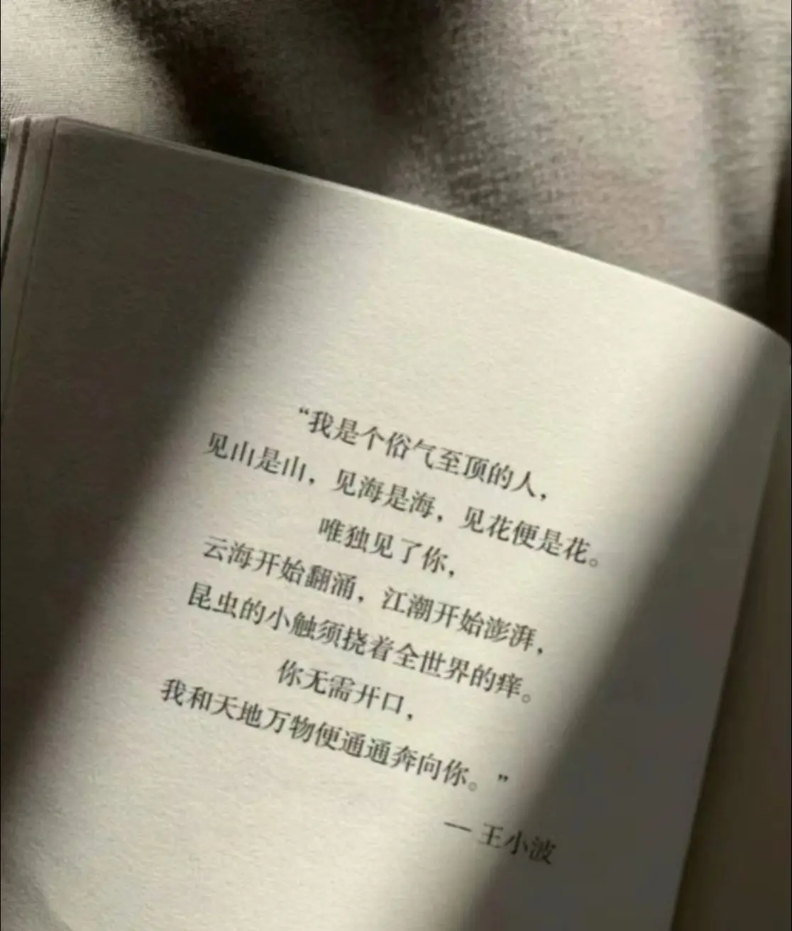 还会 好好爱 还可能 被爱吗