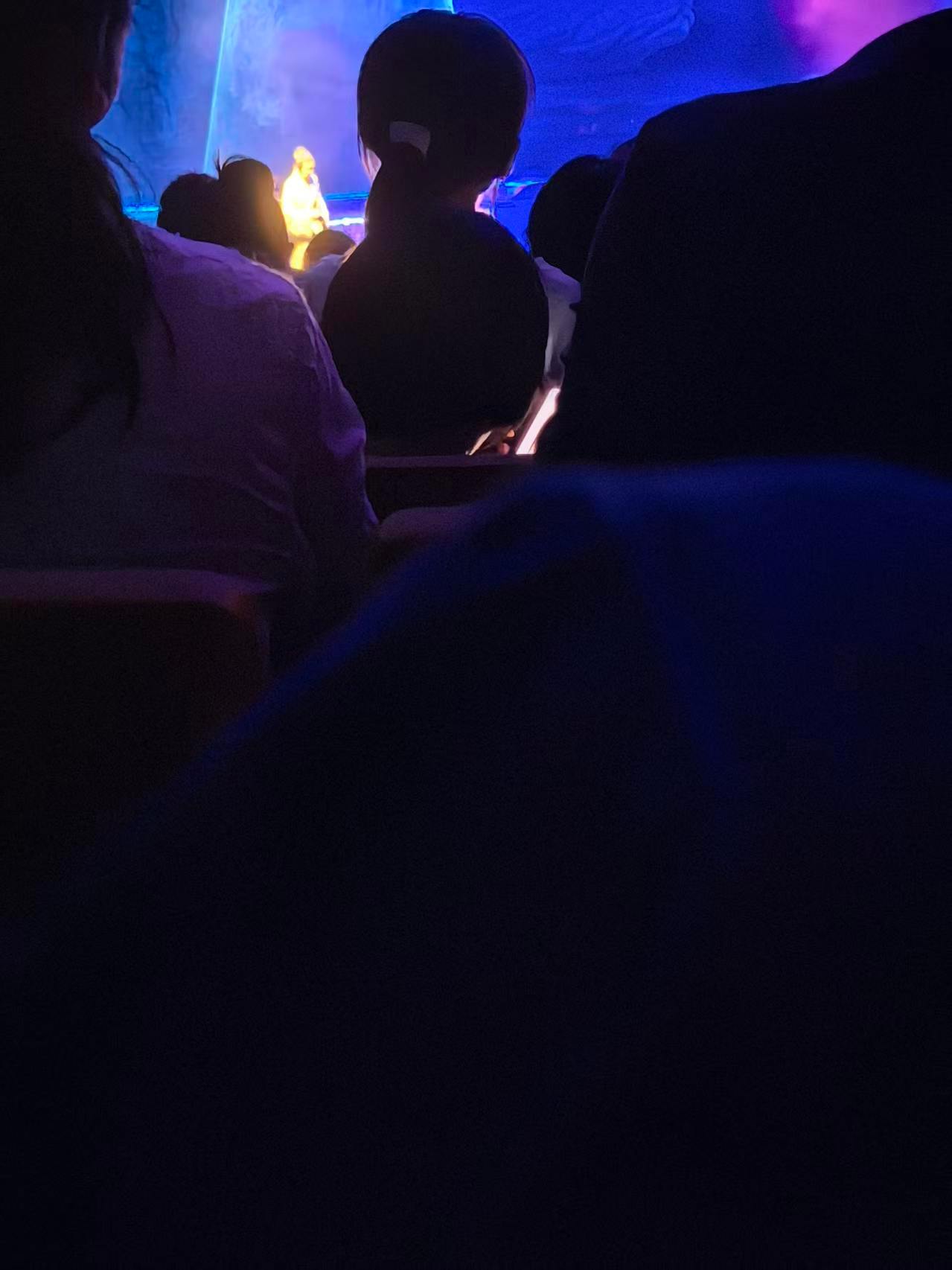 我没素质我认了但是怎么会有人在剧场把孩子抱起来了