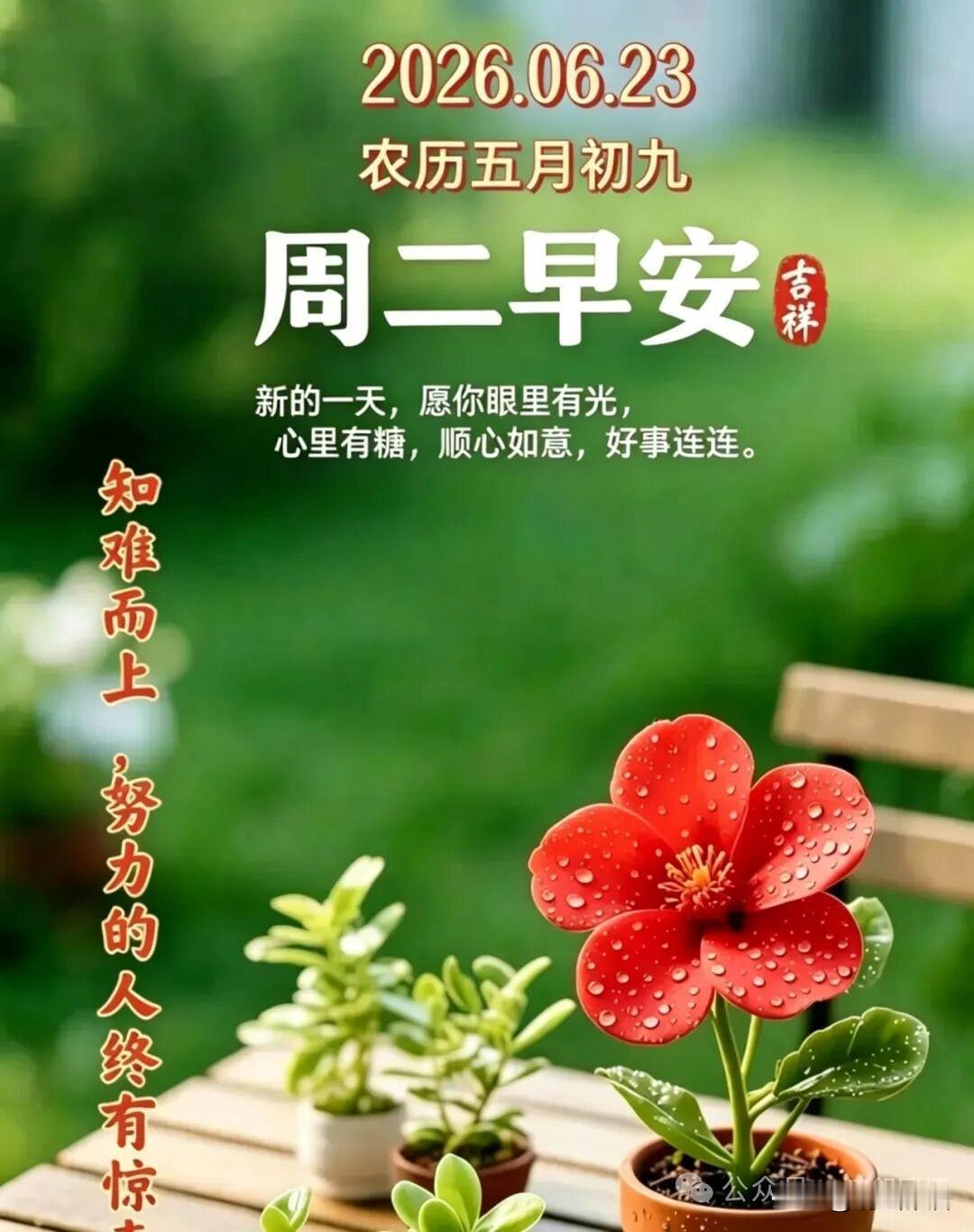 真心话茶局老一辈人重男轻女根深蒂固，干活的时候，男女平等，分东西时候就男女有别，