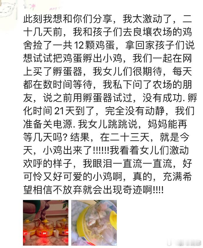  谢娜把与女儿孵小鸡的宝贵经历在微博分享，想放弃却因女儿的坚持继续，最终迎来小鸡