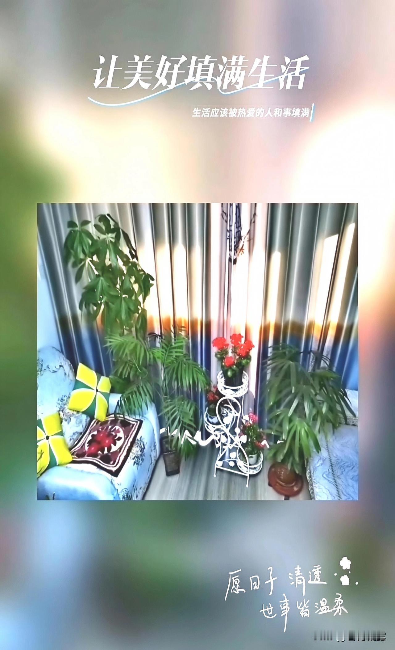 生活是自己的，尽情地去装扮，尽情的去爱，在喜欢的状态里，更新自己的生活，今天很好