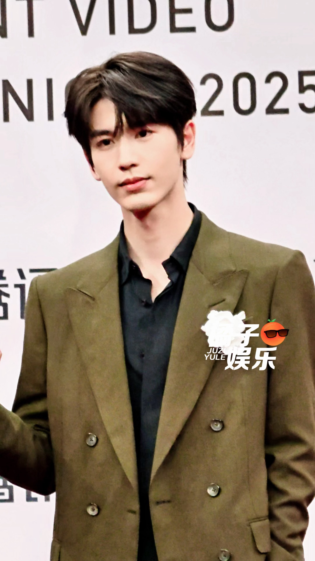 帅的太轻松了凌赫🥵🥵星光大赏红毯张凌赫深绿西装look