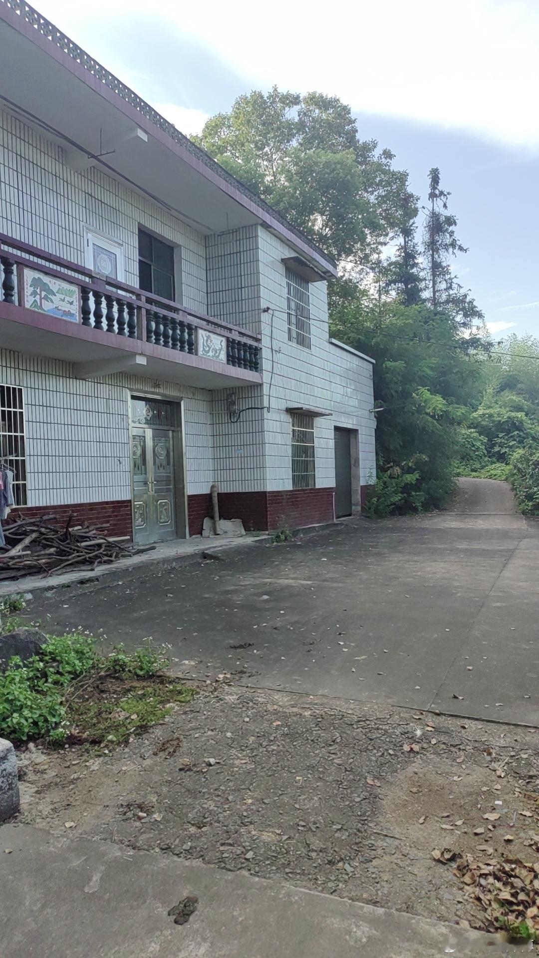 认知 今天在长沙街头碰到一条黑苟，随地吐痰【没，教，养】，老远就闻到香味儿，差点