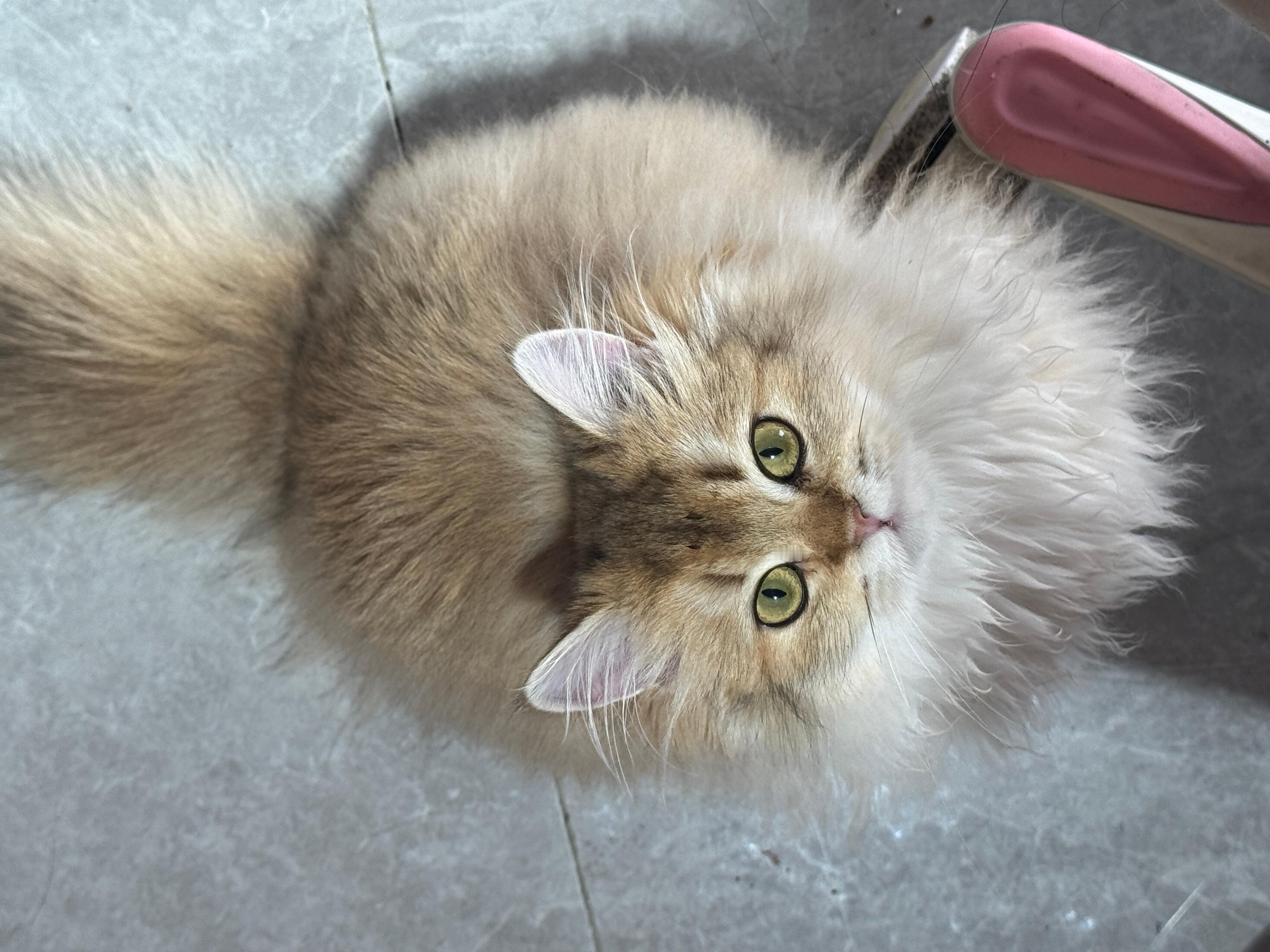 坚持发微博等到会有人想要了解我的日常 