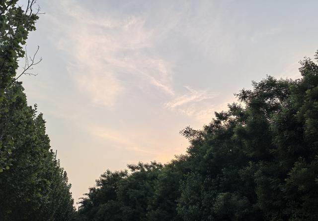 央视最后还是以6000万美元的价格拿下了世界杯转播权，这目前来说应该算是一个三赢