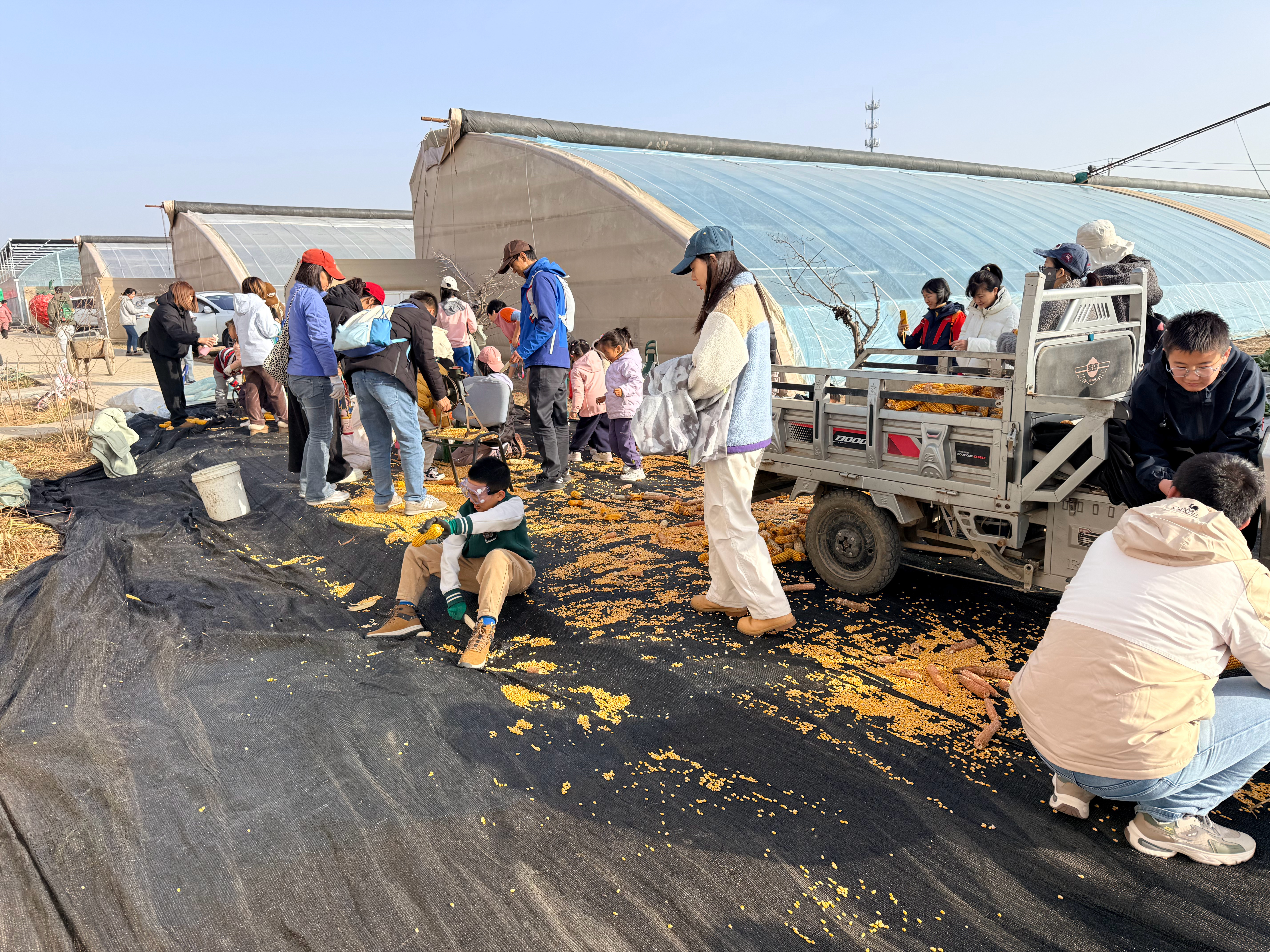 谁能想到帮人干农活还得付费啊 