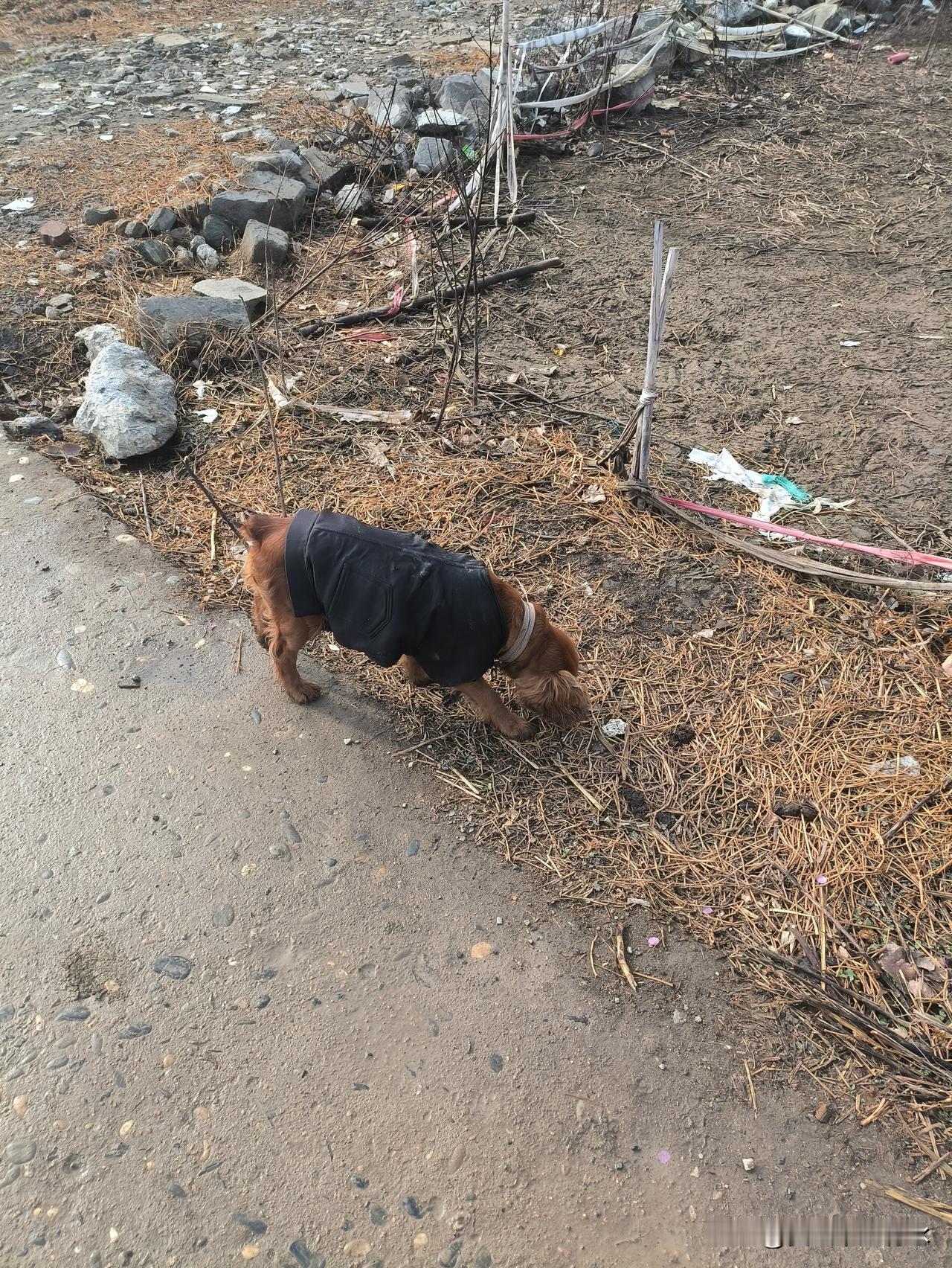 爱说谎的人最显著的一个特征，便是时常质疑他人话语的真实性。
他们自己惯于欺诈，总