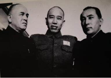 土匪的儿子投降提八项条件，毛主席批示王震：所提条件应全部同意
 
这事发生在19
