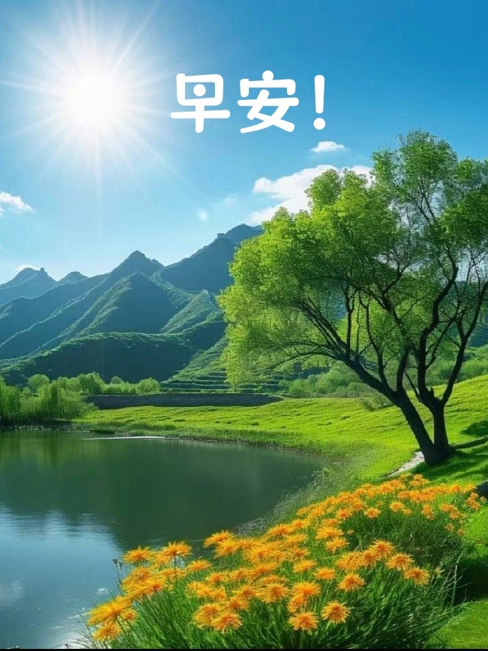 ✨ʍօʀռɨռɢ🌸 你不必活成玫瑰，可以是山间清风、溪边小花，是千千万万中最特