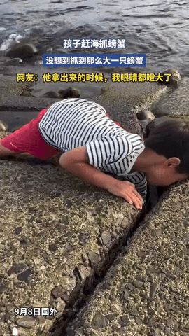 解释不清了！山东，小男孩去赶海捞螃蟹，费了半天劲终于捞上来一只，可看完螃蟹后家长