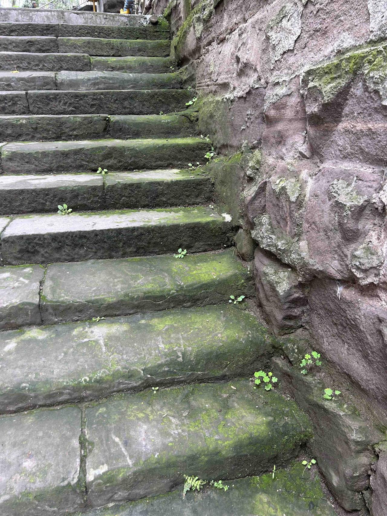 偶遇（述事者，楼主老爸）

2026，三月20日，周五，晴

那是一个桃花盛开的