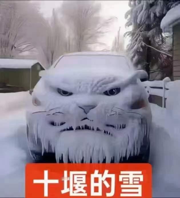 雪下的那么认真@发现十堰之美
