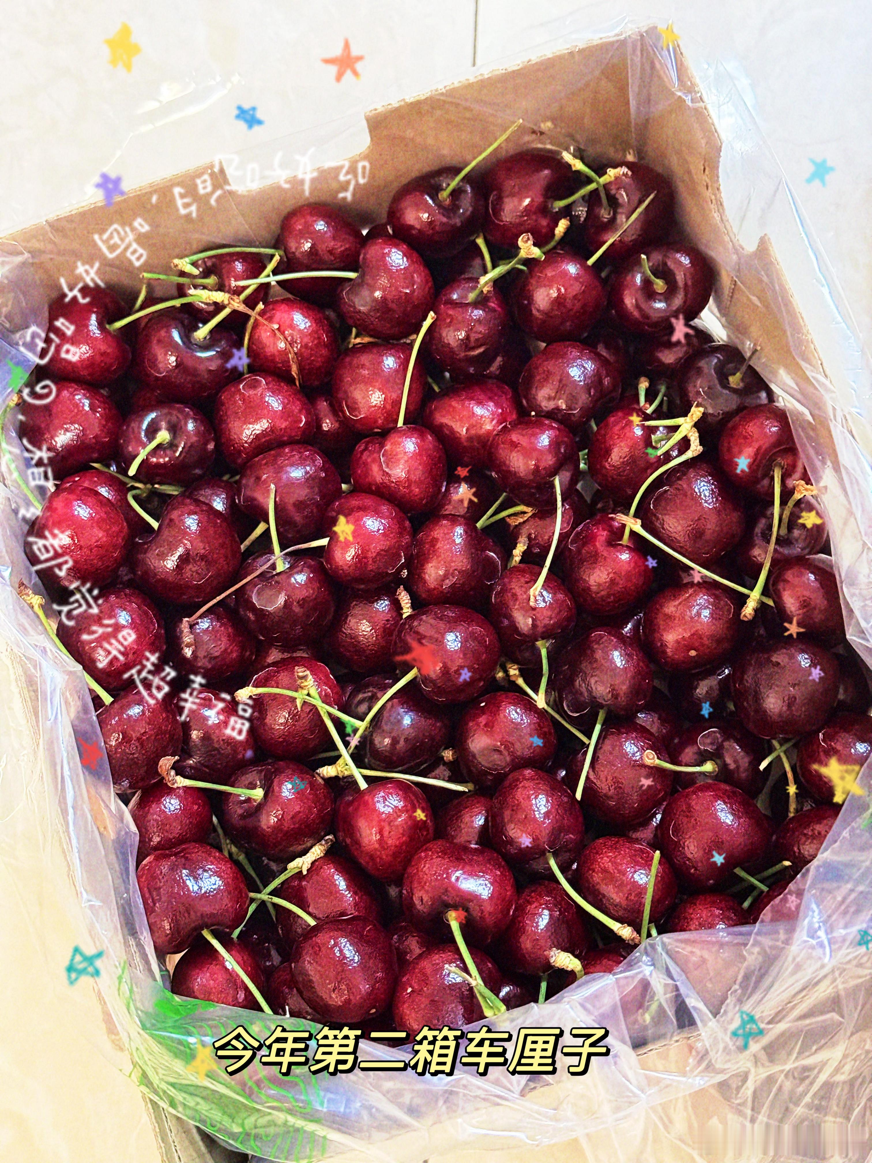 怀疑我的咪很聪明：1.上班的时候看监控，孩子把我的帽子扯到客厅地上玩，准备回去收