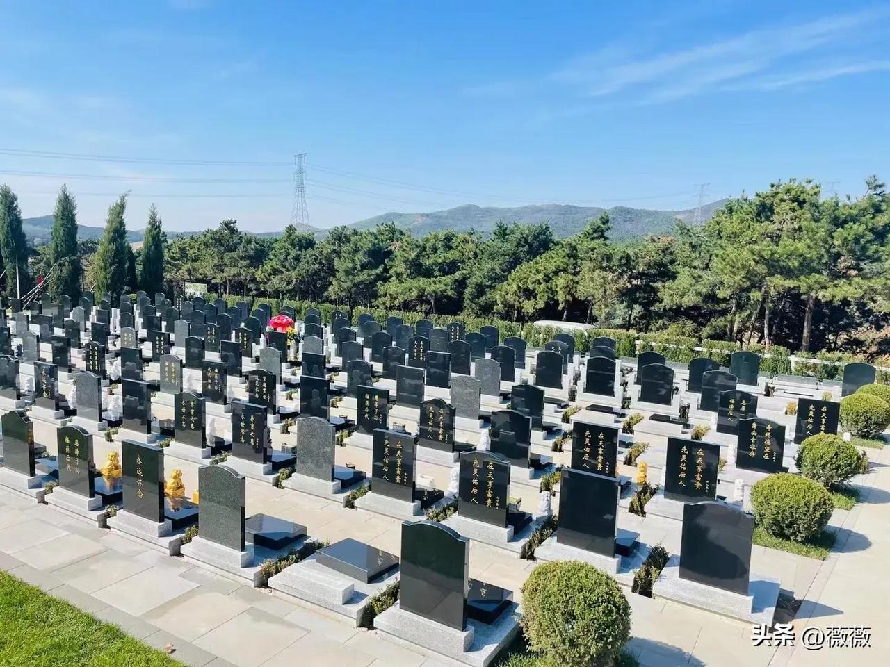 清明节，
发现了一个怪现象：
家庭越穷，越是没有几个人扫墓，甚至一个人都没有；