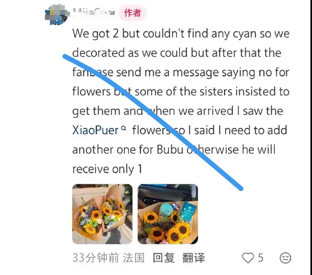 前所未见的“配平论”：  “我们有两束花，但一直没找到青色的花，所以只能尽量自己