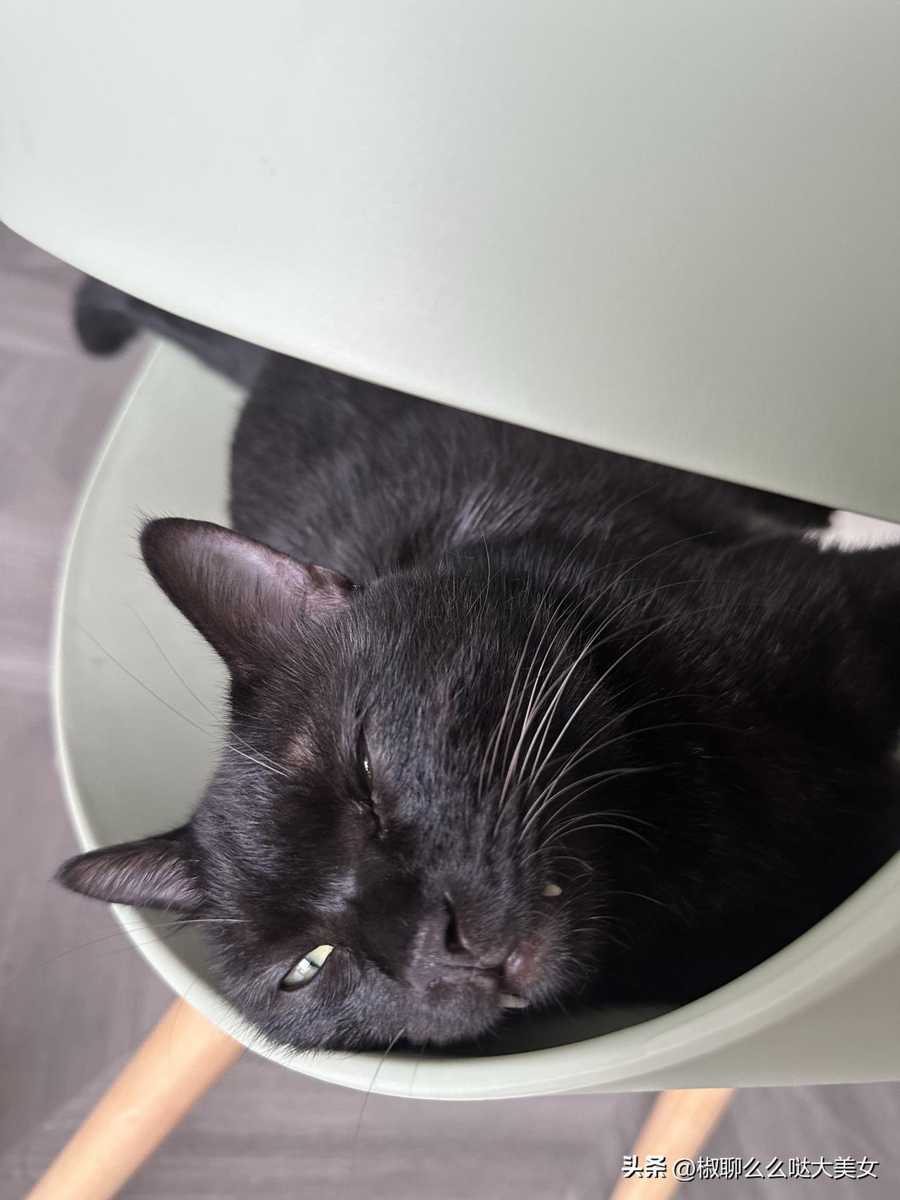 刚接到短信，通知我十月开庭
审理一个朋友借钱不还的事
其实我很不愿意起诉曾经的朋