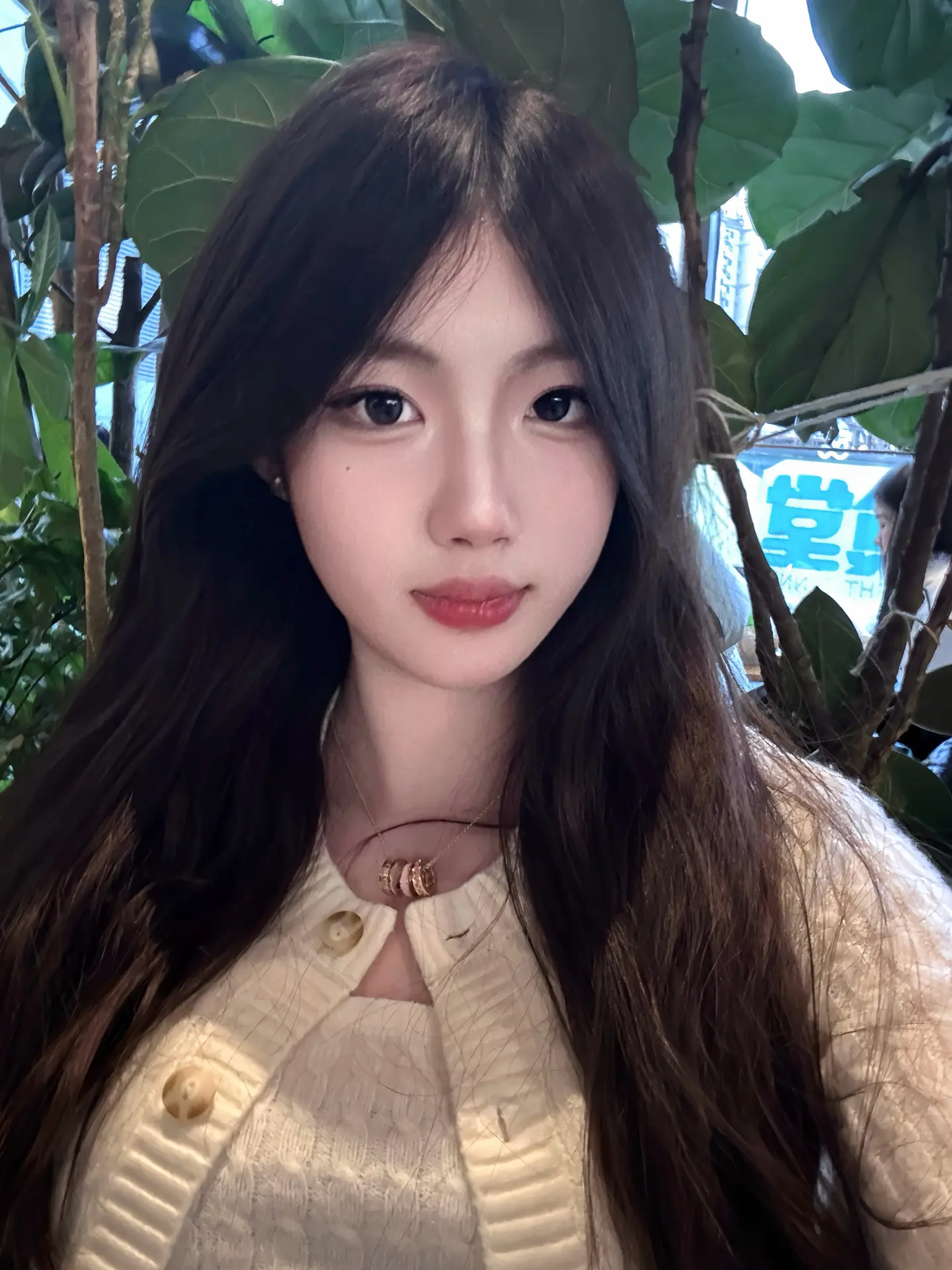 分享照片   硬装