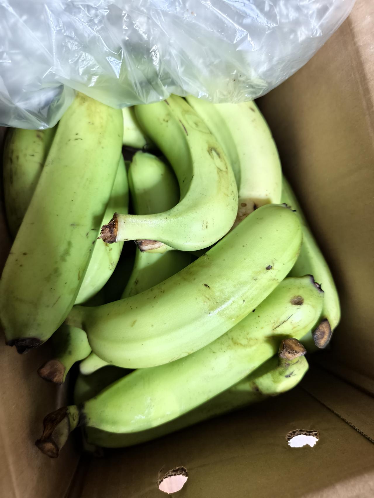 刚刚拆了每条蕉的保护套，放回箱子继续捂熟它。买的五斤花了七块多而已，主要是一会熟