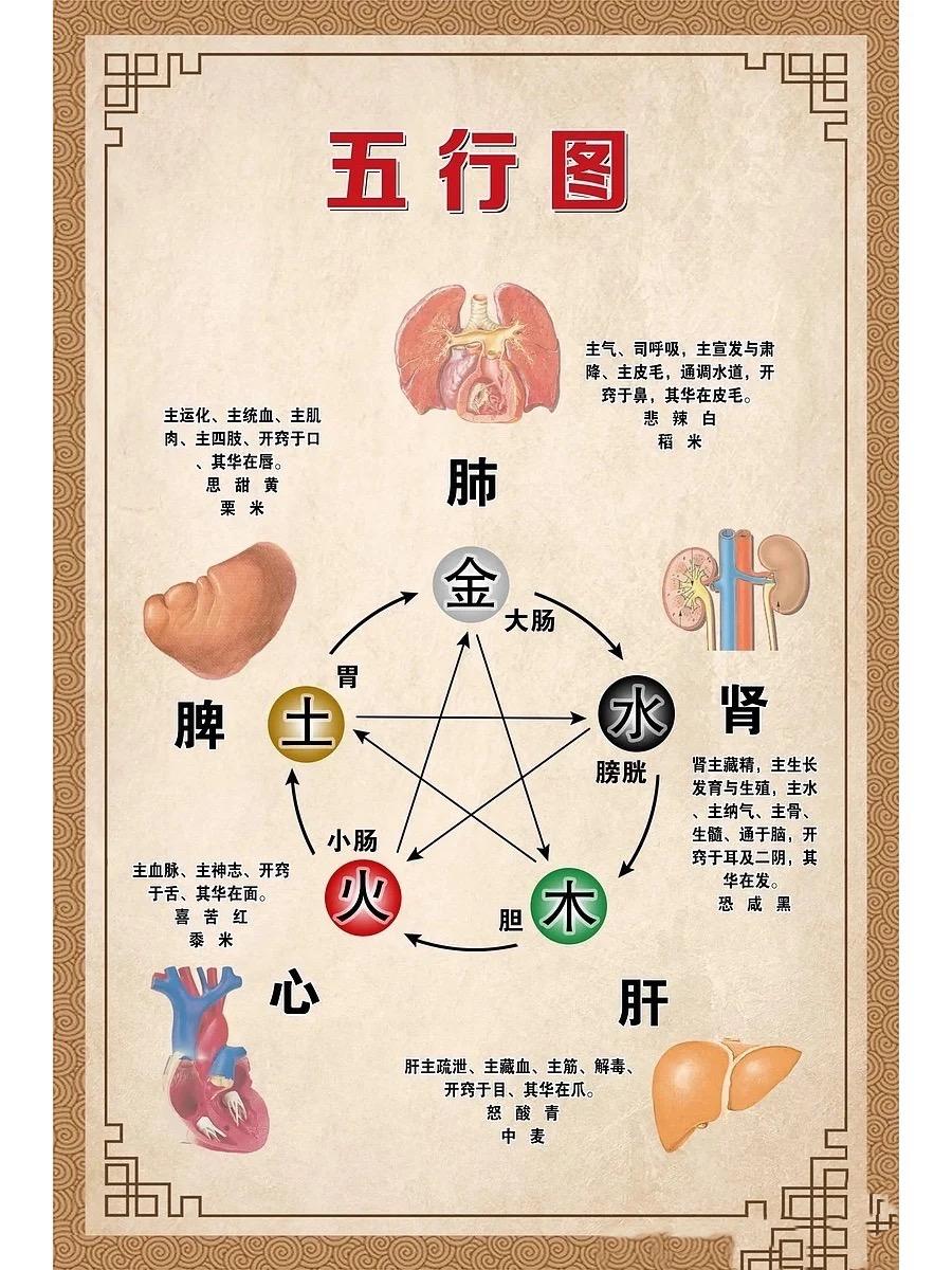 仅供参考日常养生小常识