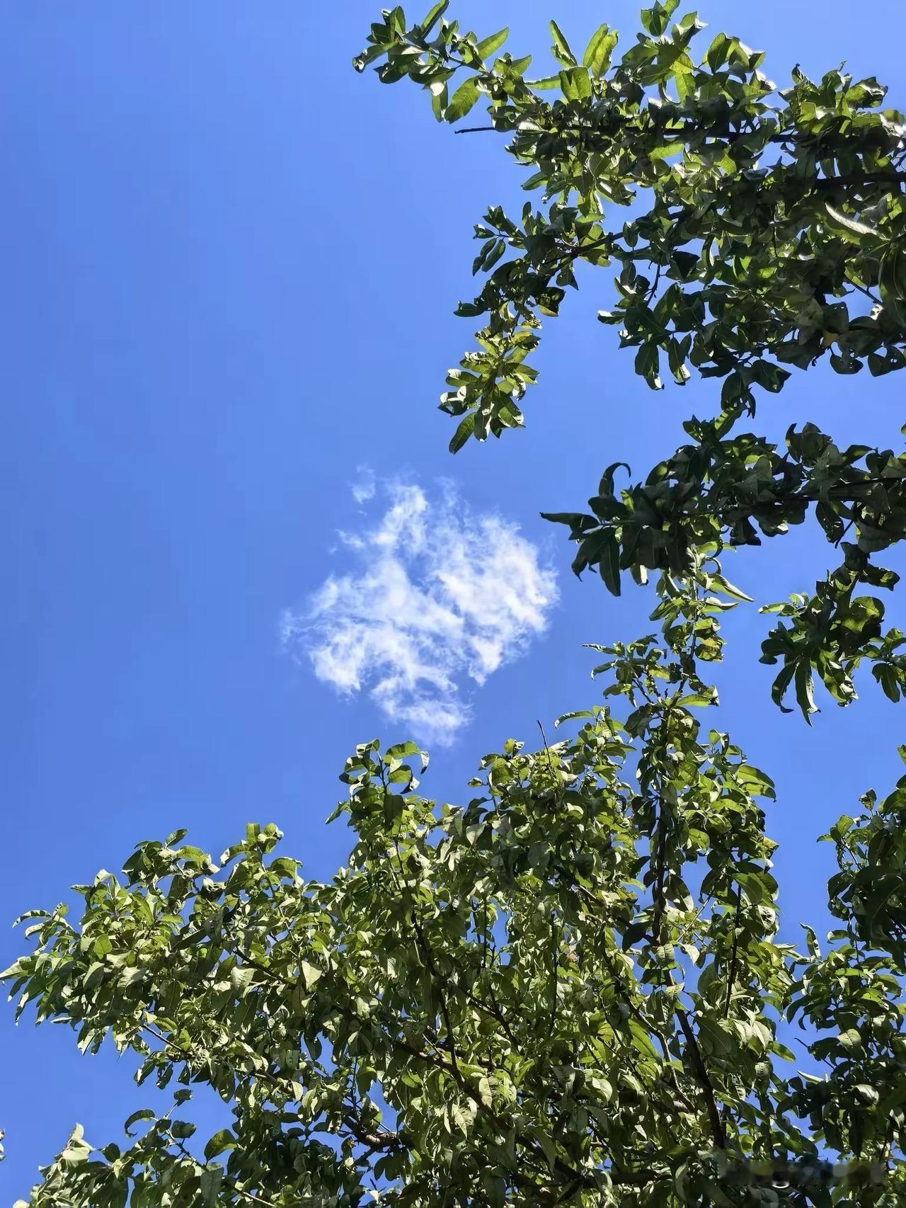 阶级斗争现在既不是纲也不是目，而且根本不能针对现实中任何具体的人存在。它只能在一