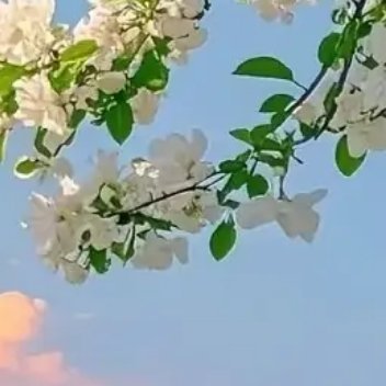 人一旦慢慢想开看透，便慢慢习惯沉默。并非丧失了与人交际的本事，只是厌倦了假意周旋
