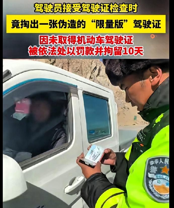 这操作真是把“胆大包天”玩出了新高度！

西藏司机递假驾照给交警，证件内容直接让