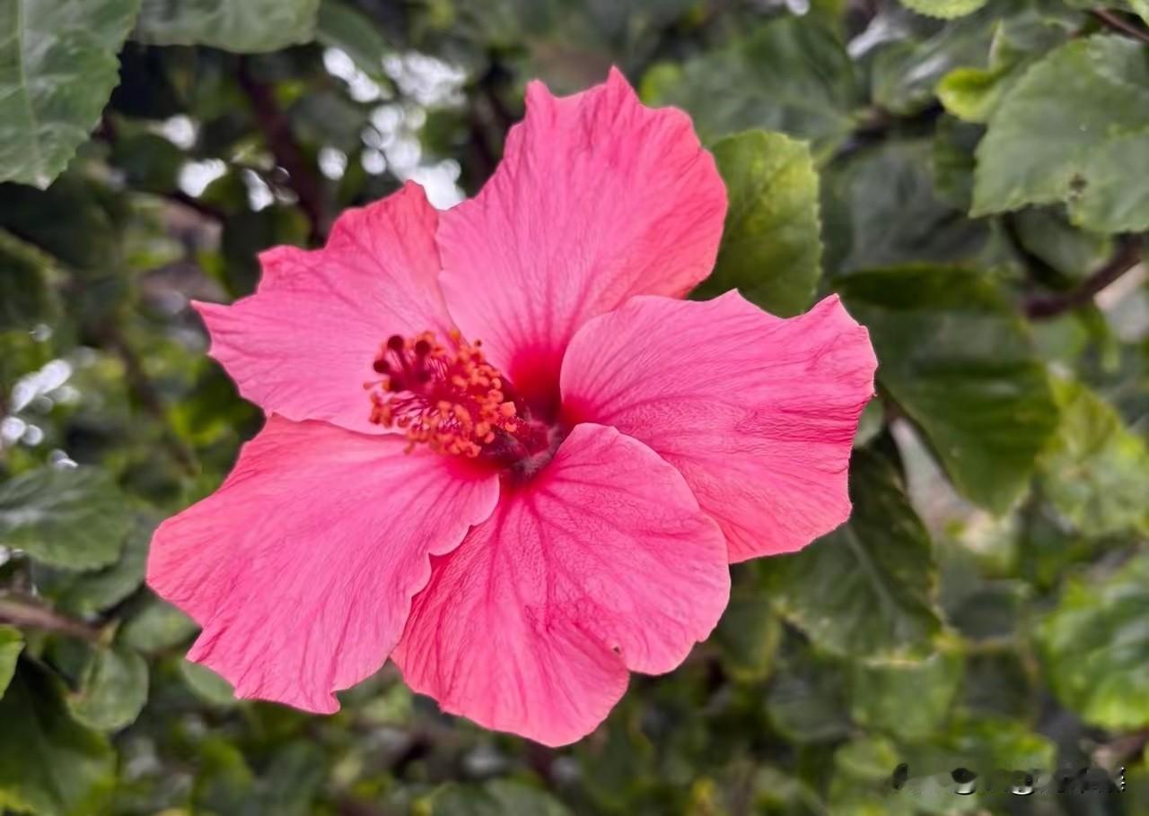 头条不认学历，只认文字！
学历只是一张纸，不能代表你的本事！
平台是个六亲不认的