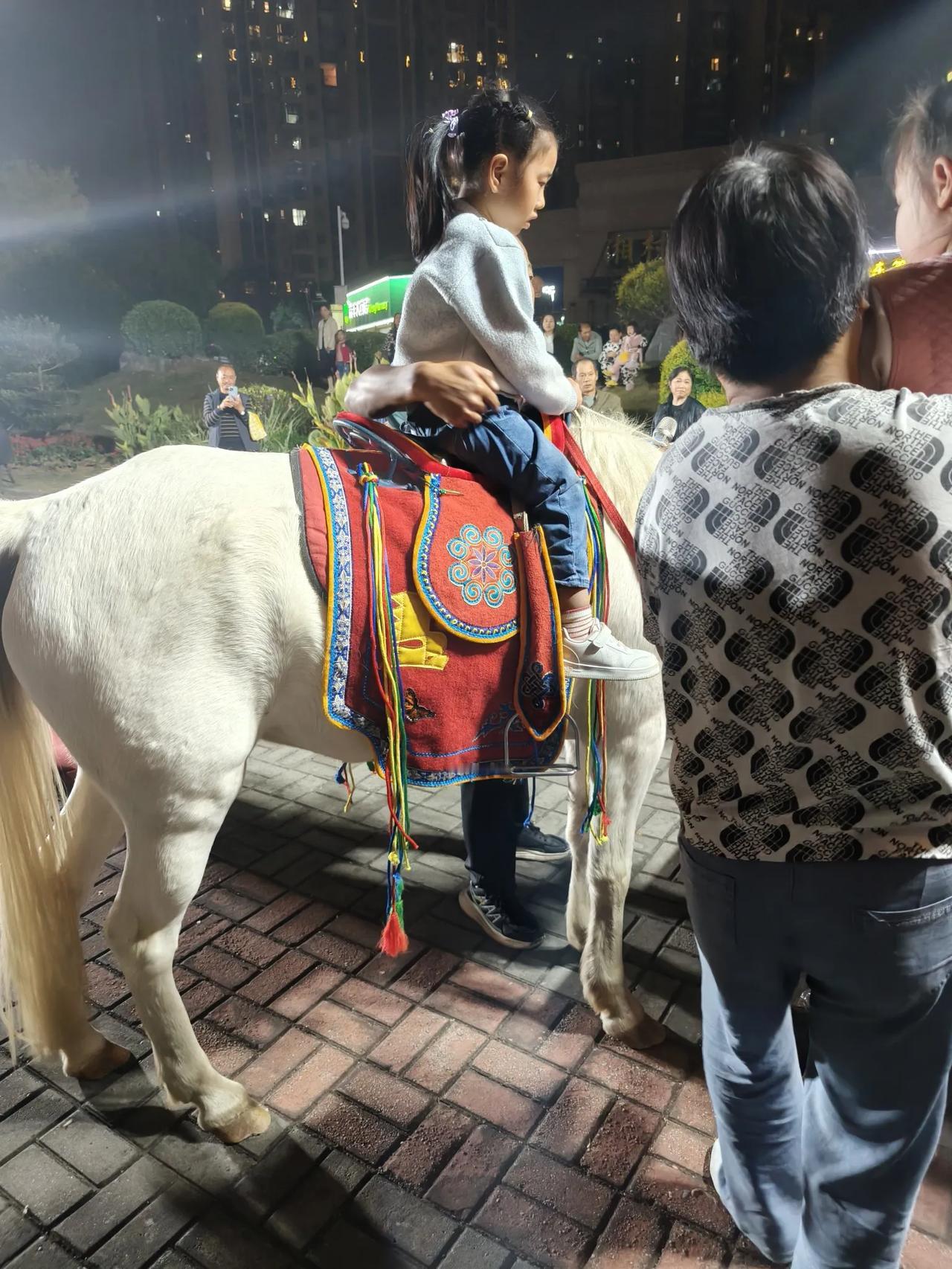 这匹白马呀从河南来到宜昌！