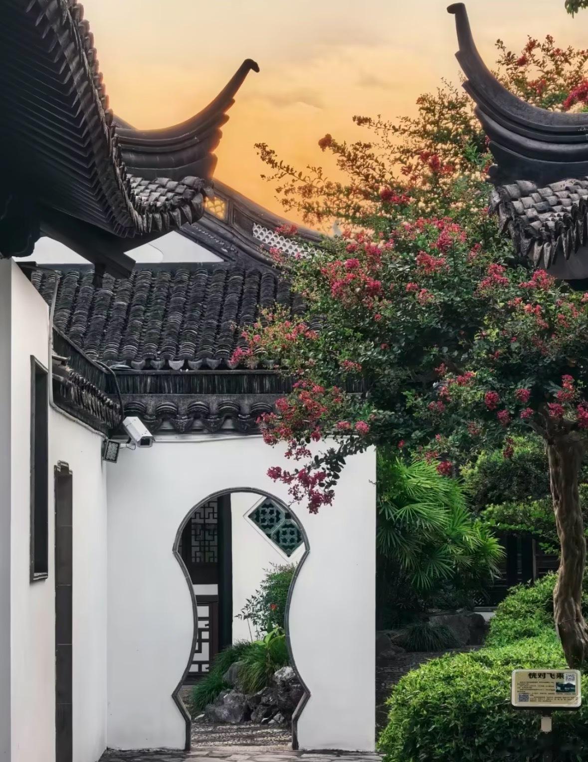 戊戌月前瞻｜为什么突然想把事情“定下来”前段时间，很多人都在反复调整。工作要不要