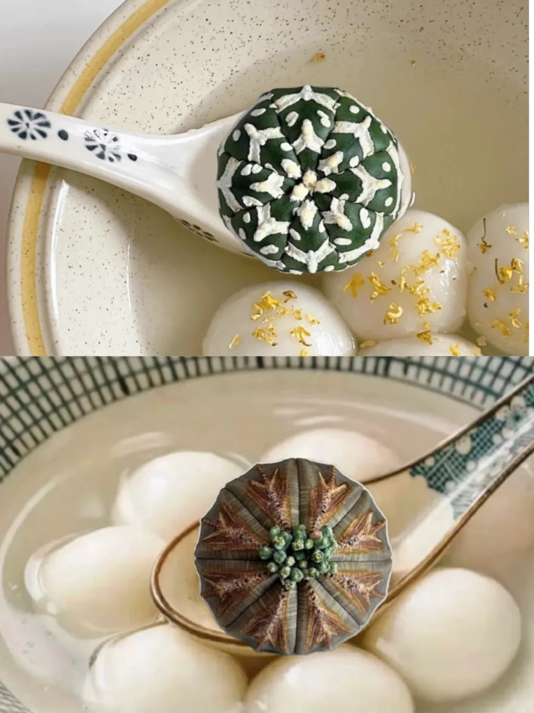 元宵快乐，请大家吃点不一样的汤圆