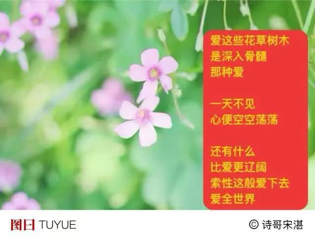 文字不会飞翔
蝴蝶会
她飞过夏日山水
向你我飞来
．
天地间无边空寂
一刹那
被