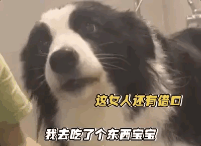狗狗爱憎分明，一边口吐莲花骂主人，一边亲了一下给它洗澡的妹子，生怕妹子害怕。
狗