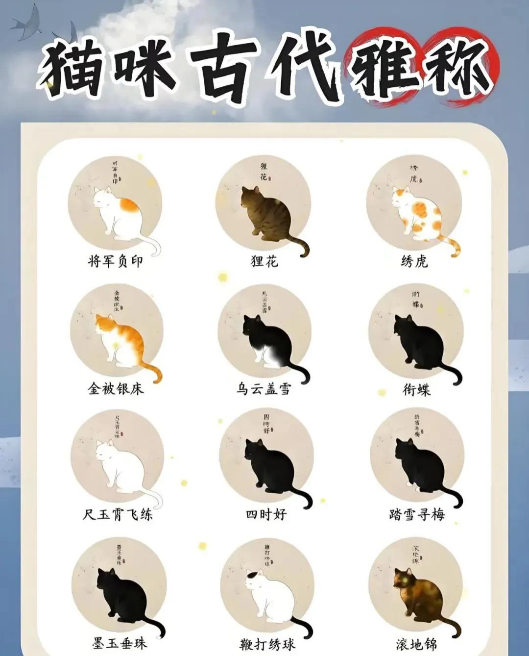 猫咪在古代雅称