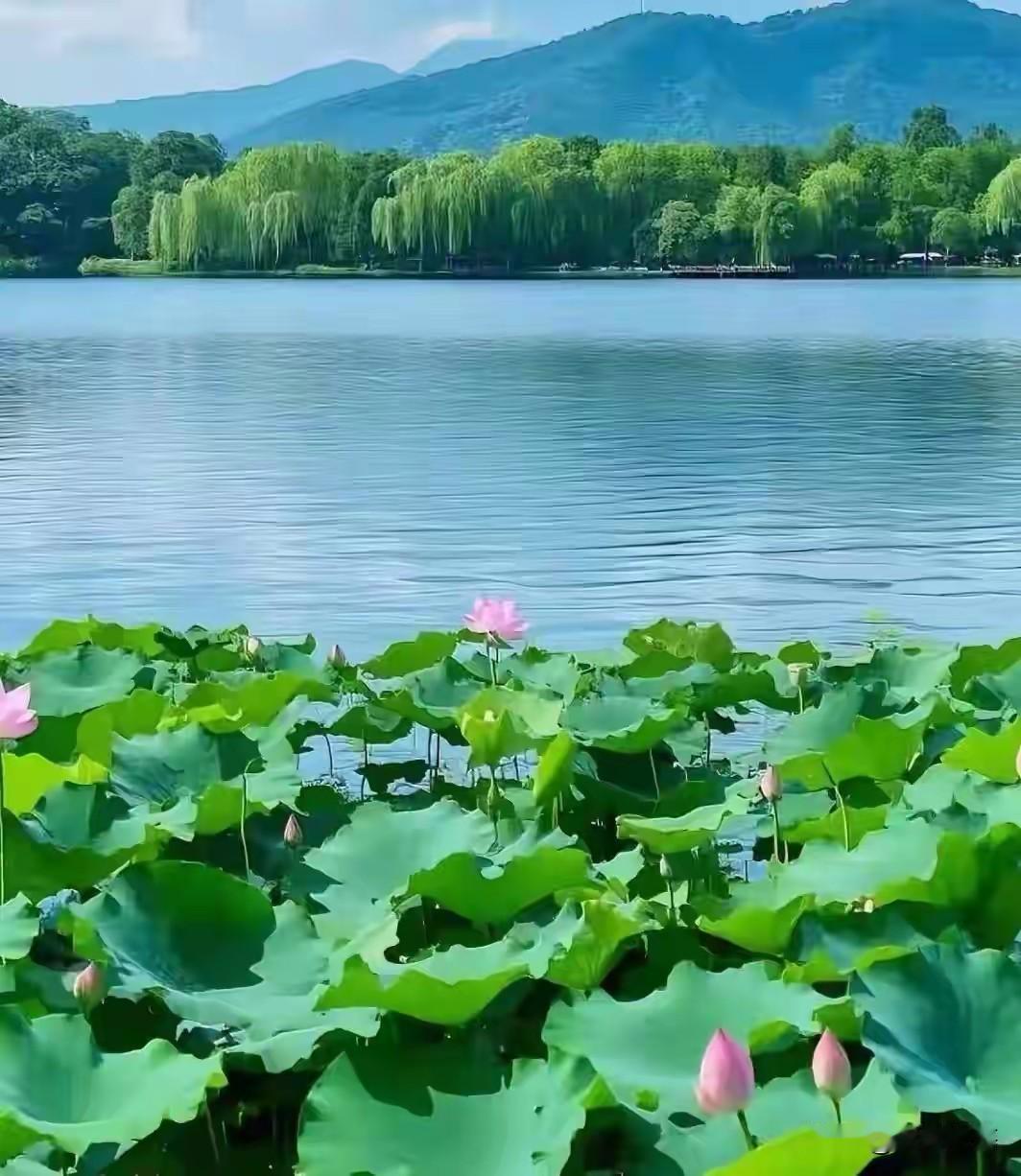七言绝句·夏日骤雨初晴
一番急雨匆匆过，一席清荷滚滚波。
一片蛙鸣声阵阵，一丝蝉