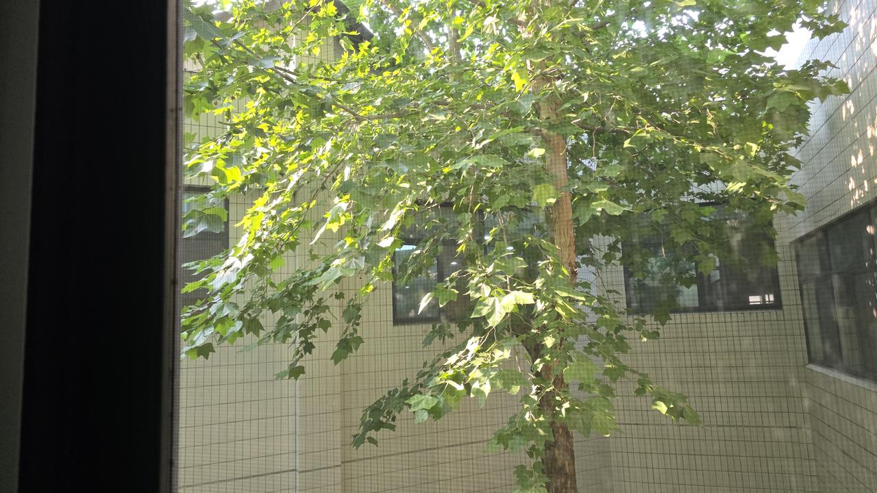 你有没有发现一件事 一个女人跟过太多男人 她身上会带出三种味道 你闻得到 但她说