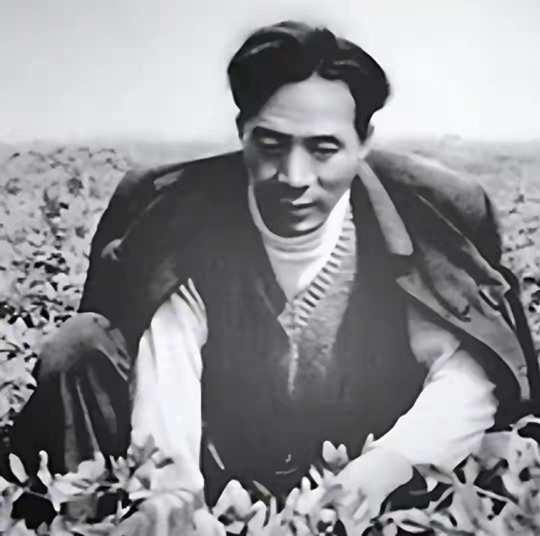 当年焦裕禄带领大家防沙种的泡桐树，真是万万没想到，如今竟制成了全国三成左右的乐器