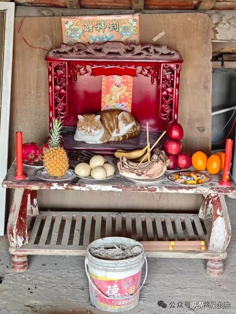 过年了供财神，看大哥家供的财神，烧香碗直接换成桶装，这样可以插高香粗香，今年财神