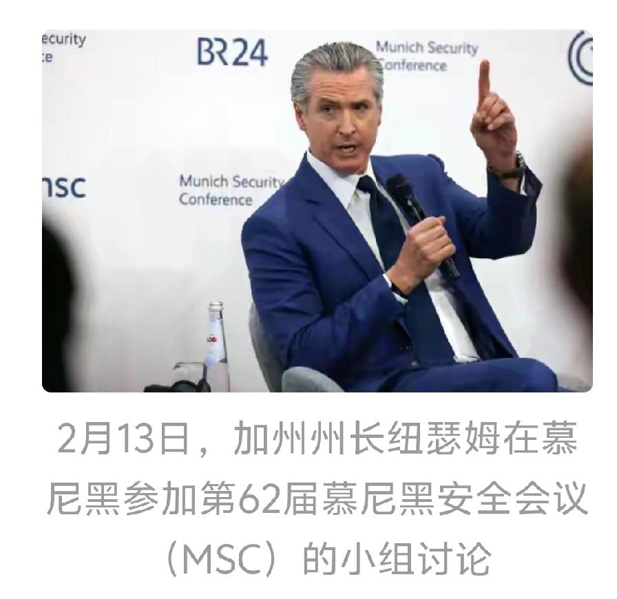 美国加州州长纽森在慕尼黑安全会议上喊话欧洲领导人，让他们再忍忍，说特朗普三年后就