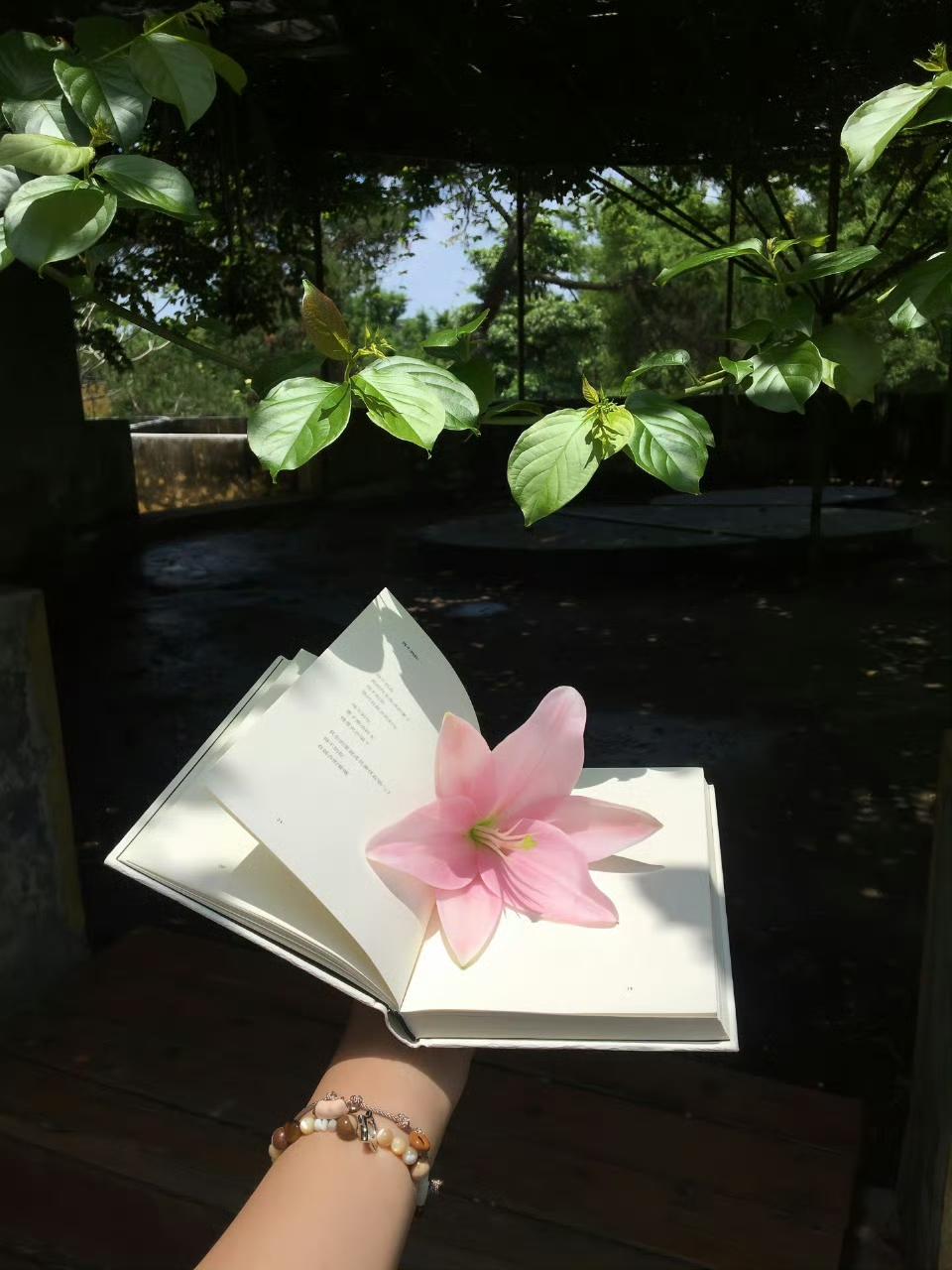 诗人之间互相调侃是很有趣的，宋朝时的风流词人张先，八十多岁了还喜欢周旋于声妓之中