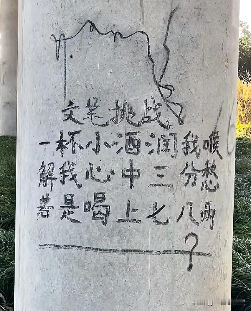 文笔挑战
一杯小酒润我喉
解我心中三分愁
若是喝上七八两
——————？