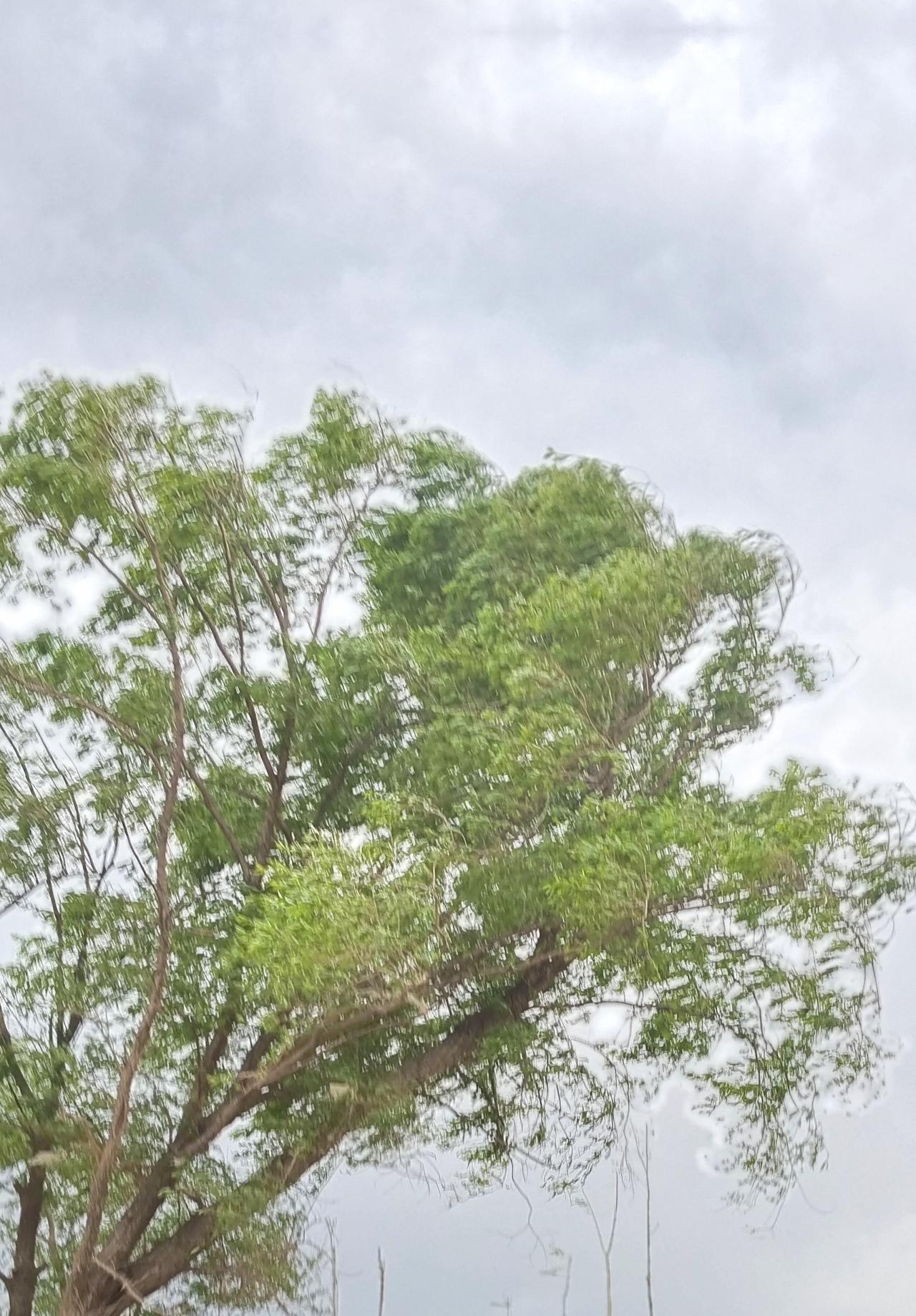 我在仓惶逃离中，脚步有些慌乱，雨滴噼里啪啦地打在身上，生疼生疼的。街道上的行人也