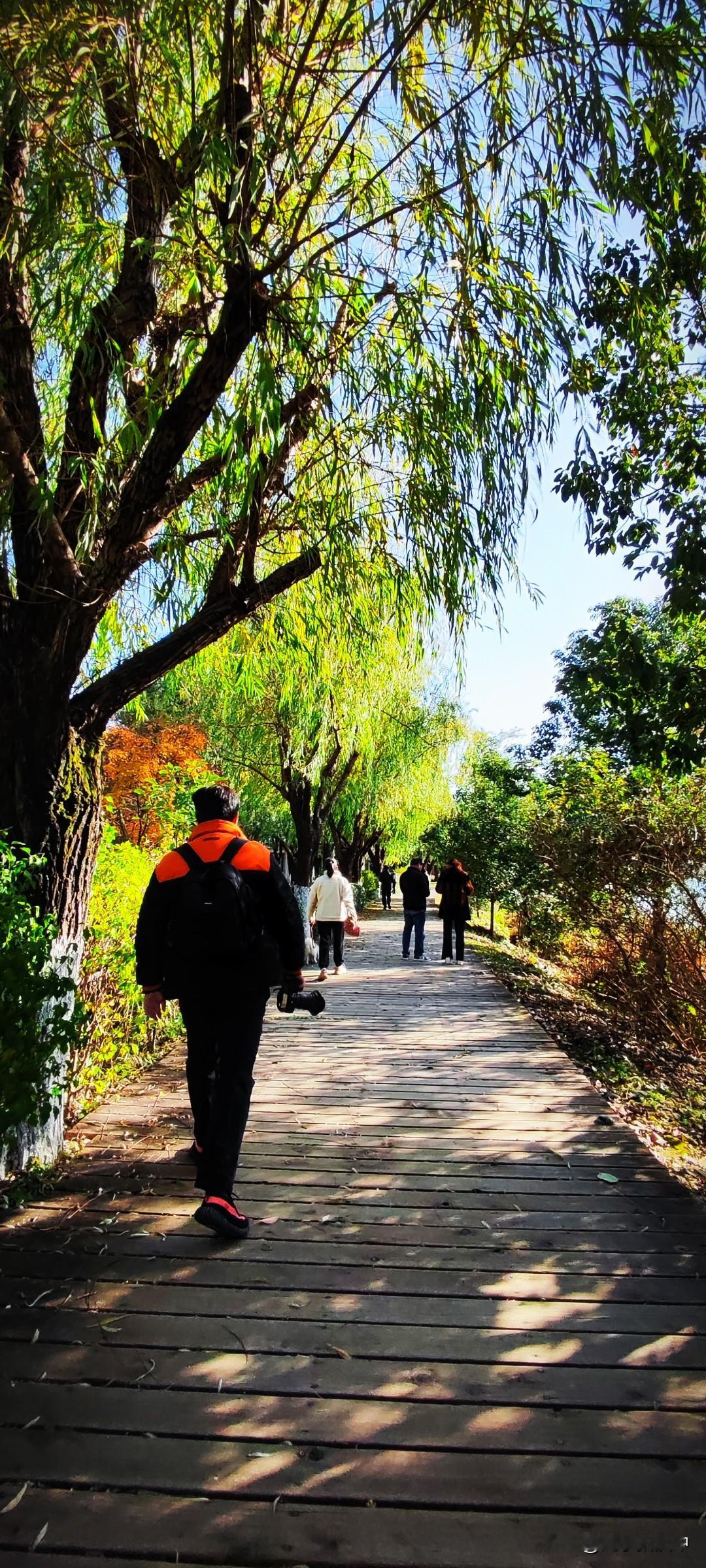 冬日生活随拍汉江湿地公园的步道上游人如织，没有风没有云的日光里，一路向暖，似乎人