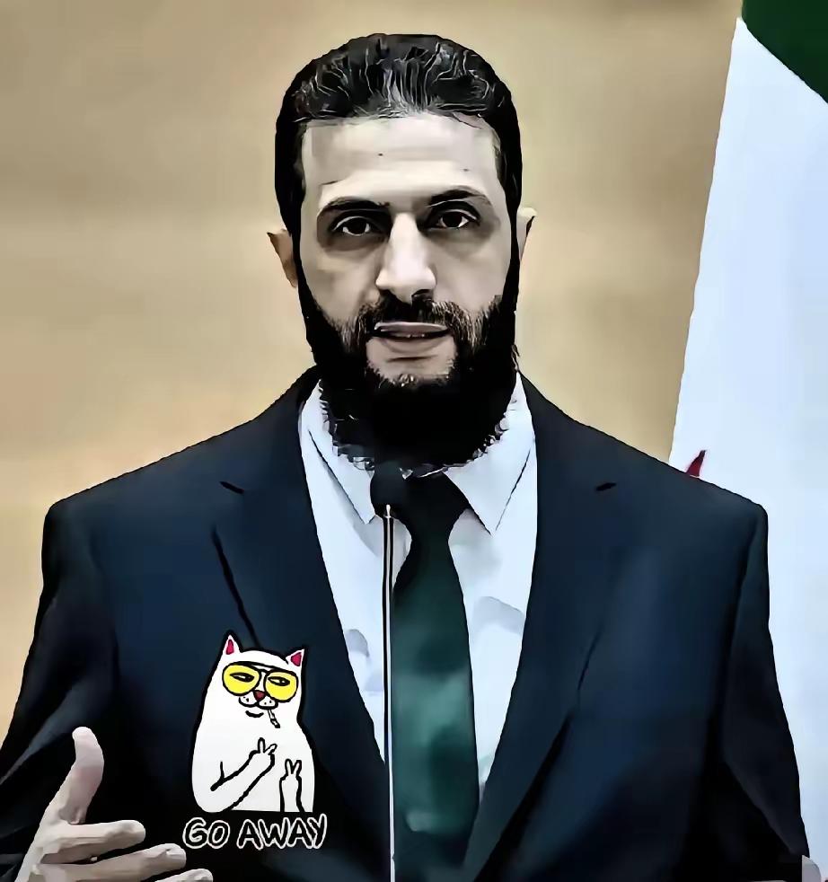 叙利亚传来新消息：

2026年4月17日，新华社从大马士革甩出一条让全世界都坐