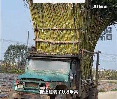 看完这起事故真的让人无比心痛！近日，广东湛江公布了一起惨烈车祸的详细调查报告，彻