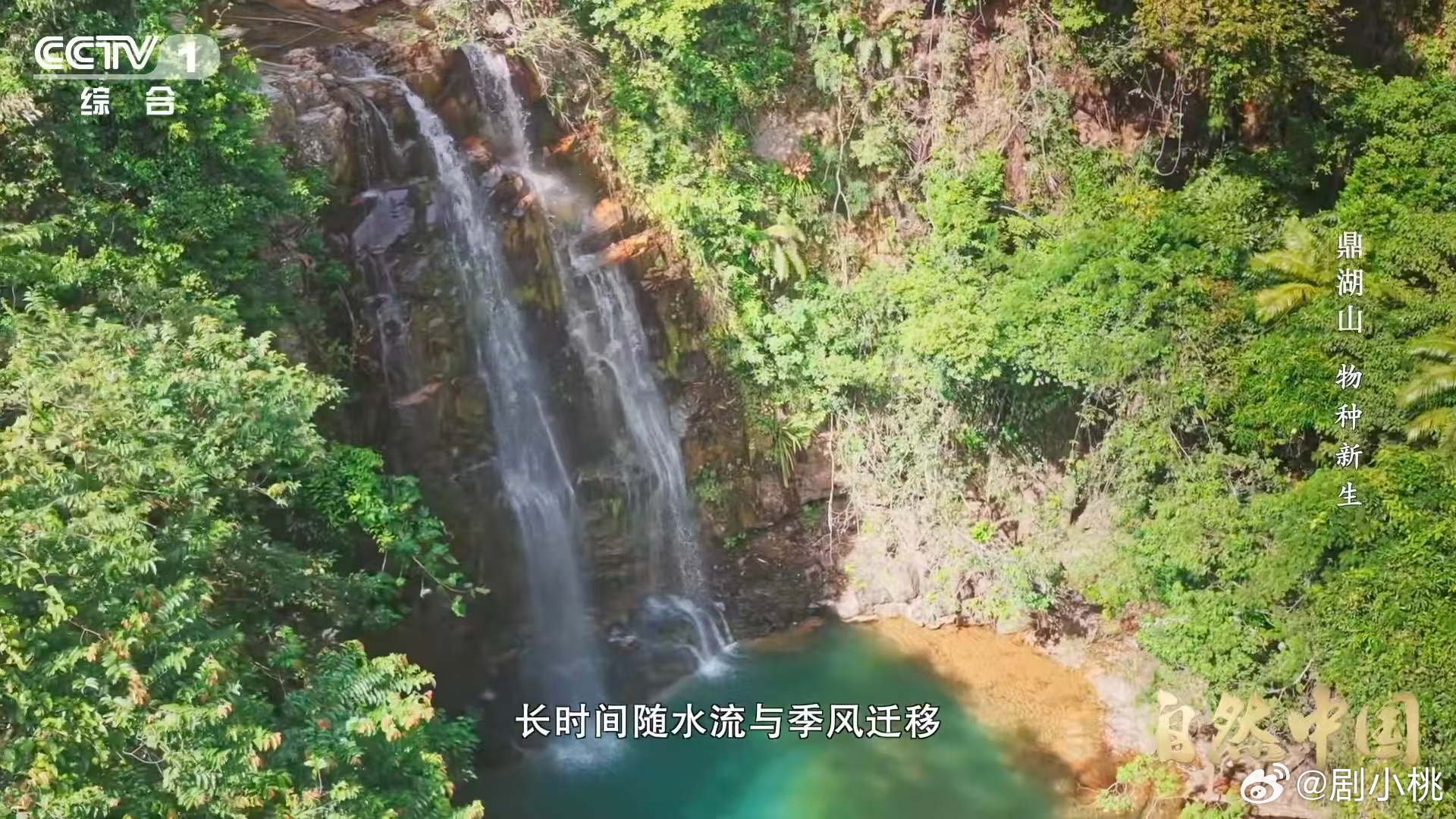 土壤的土腥味从何而来 探究泥土气息的来源超有趣🌍科学解释打破固有认知，原来自然