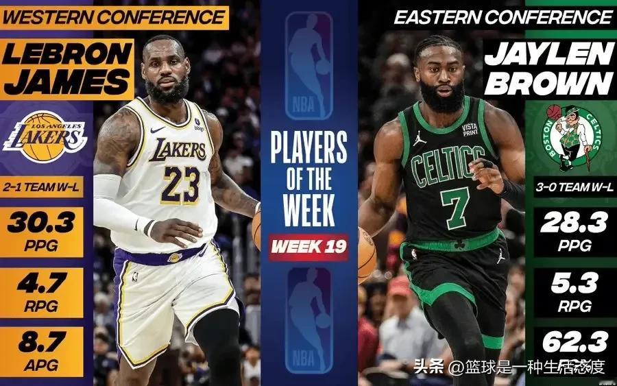 #NBA# NBA：第19周东西部最佳杰伦-布朗和勒布朗-詹姆斯
     NB