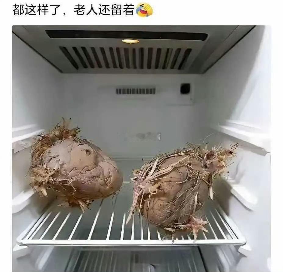 老一辈就是节约，殊不知电费都比他们贵 