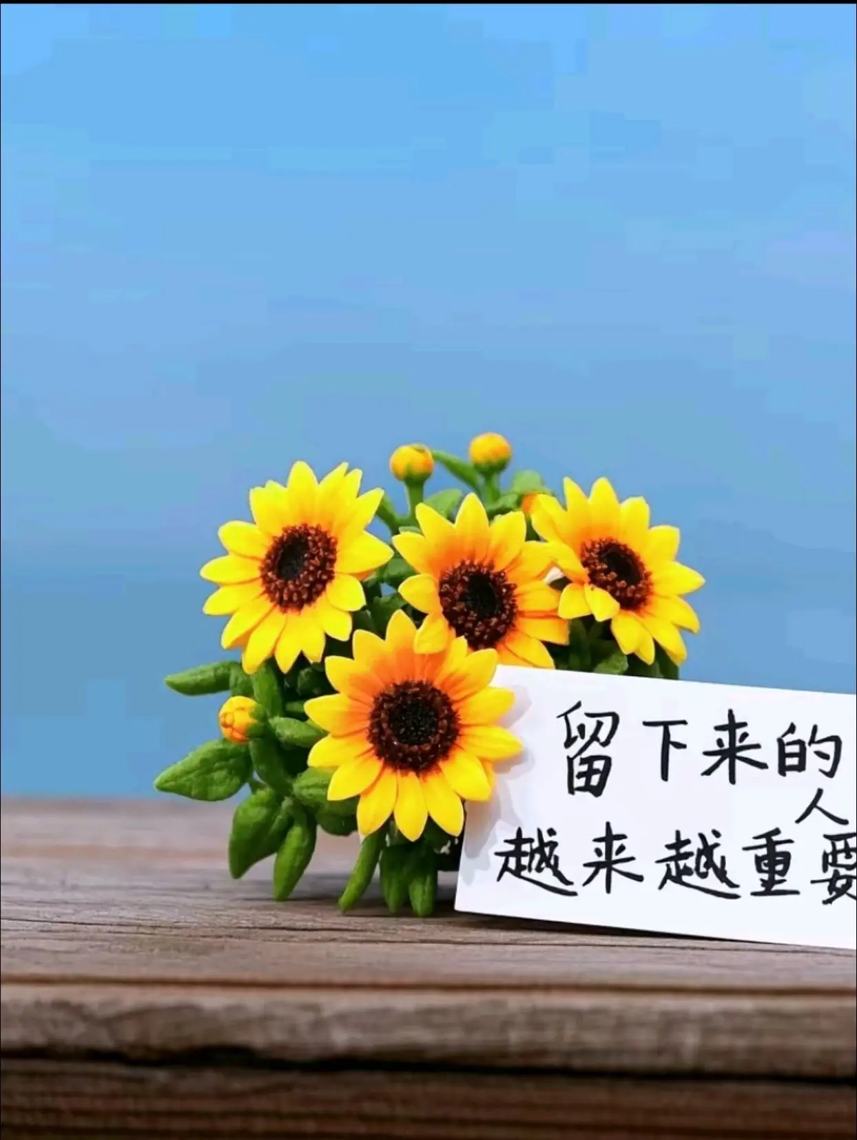 身边重要的人越来越少，而留在身边的越来越重要