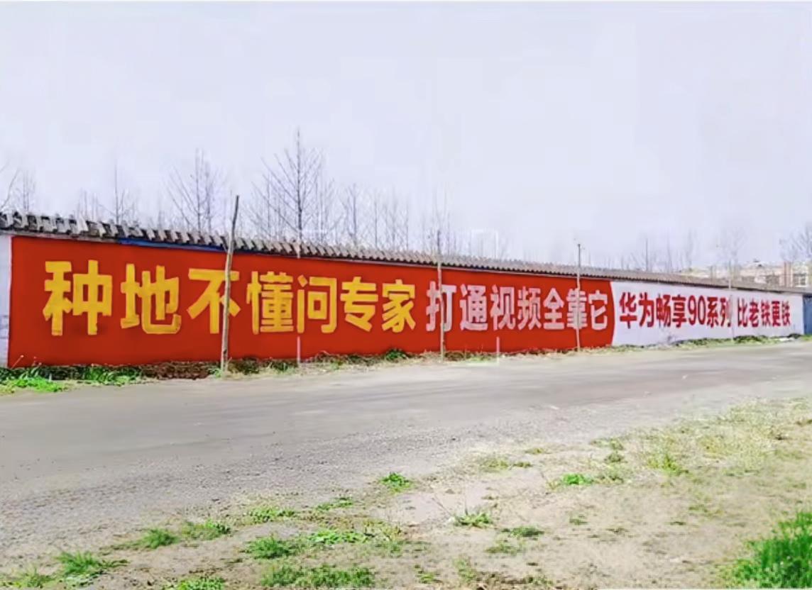 在看直播和刷视频已经成为大家日常生活习惯的当下，华为畅享90的这墙体广告太接地气