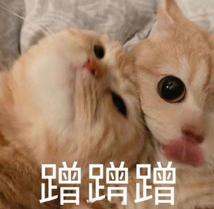 正在吃饭的我 突然急了起来❗️赶紧打开手机 打开直播 朋友问 直播间到底有谁在啊